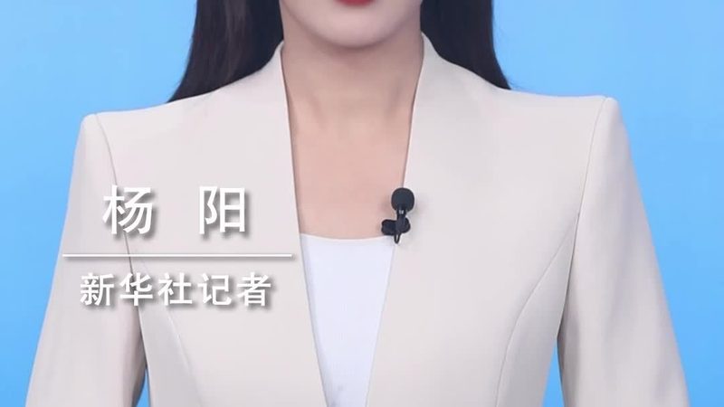 研发外包团队与自建团队：性能与成本的权衡之道